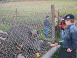 Лісництва села - Селятин