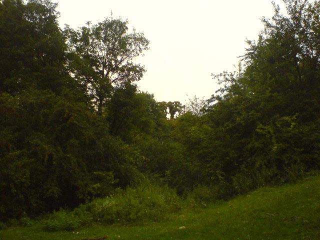 клас - Голенищеве