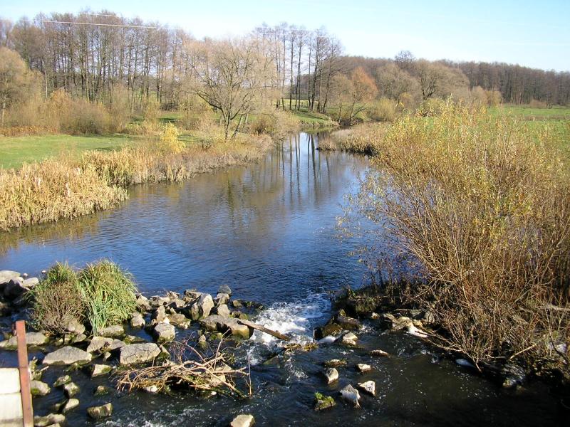 Природа села Борушковцы - Борушківці