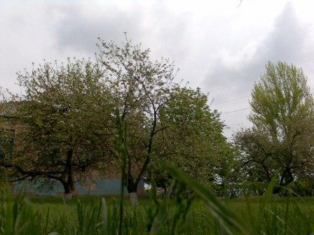 фото - Оборотнівка