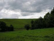 Кушлин - Останні фото