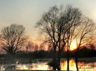 Новоселівка