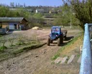 Види Боричівки