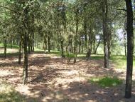 Бережки рідне село