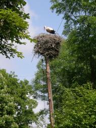 Духовне село