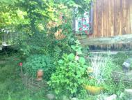 краєвиди Явче