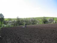 Види Села Діброва