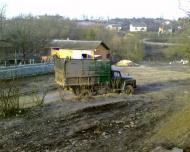 Види Боричівки