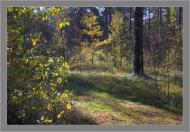 Мальовниче Березове