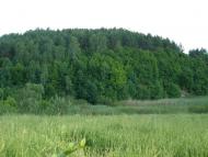 Духовне село