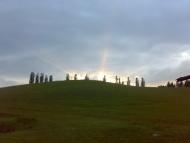 Косогірка - Останні фото