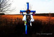 Окрестности Камянки