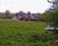 Види Боричівки