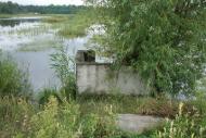 В урочищі Шахові Стави, неподалік с. Грицьки