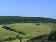 Наше любимое село