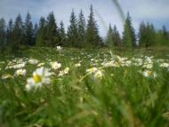 Бережки рідне село