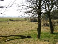 Хутір Бабка (Реклинкць)