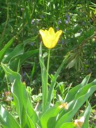 дело рук Творца