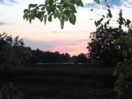 Краєвиди та життя Нової Басані