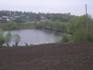 Моя Гереженовка