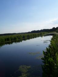 Бережки рідне село