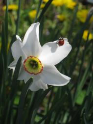 дело рук Творца