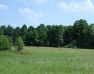 Мальовниче Березове