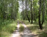 Мальовниче Березове