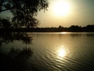 Моя Бовтишка