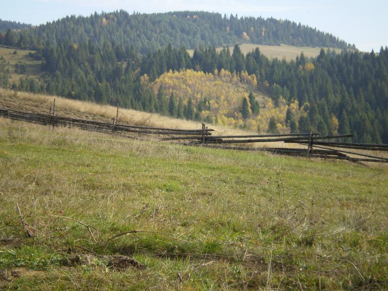 Перлина Карпат - Лімна