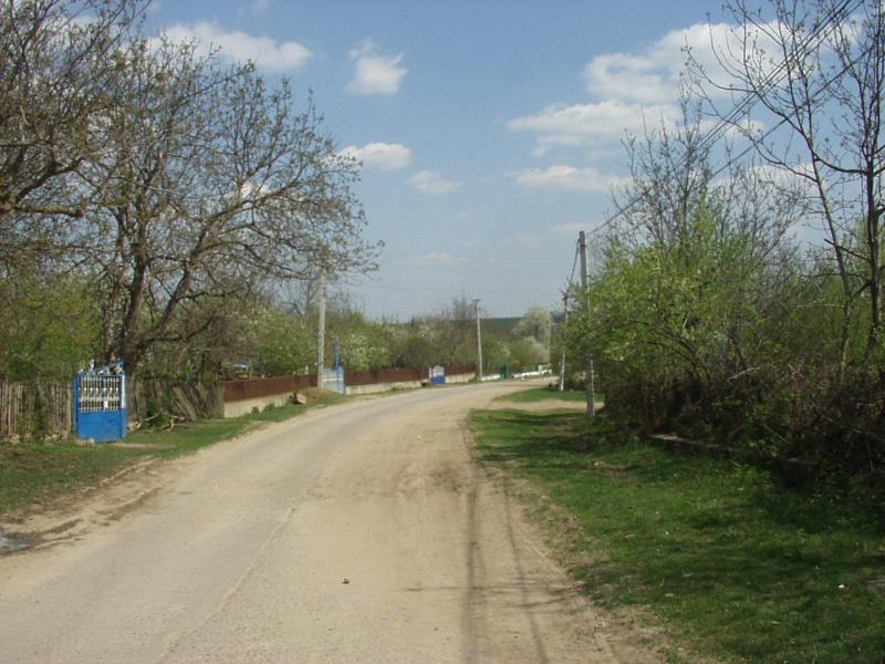 Родина - Шершенцы