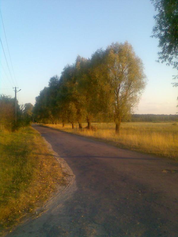 Тарасів - Тарасов