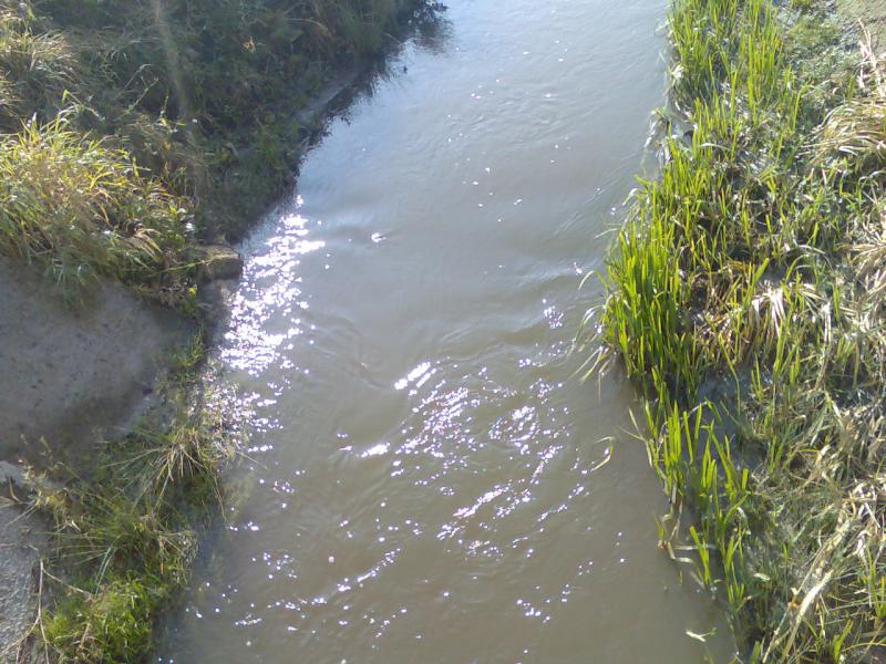 'Підстав' - Підгайчики