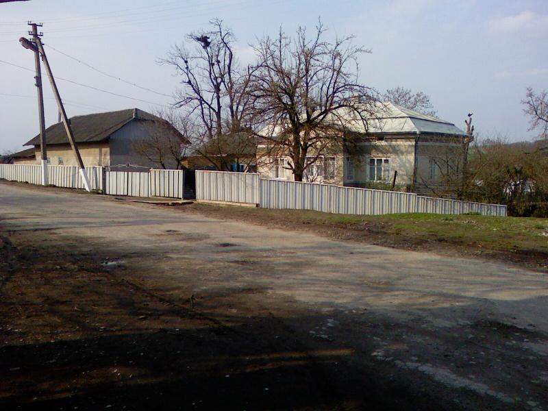 Сарники - Sarnyky