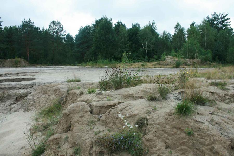 Наслідки добування бурштину - Grytsky