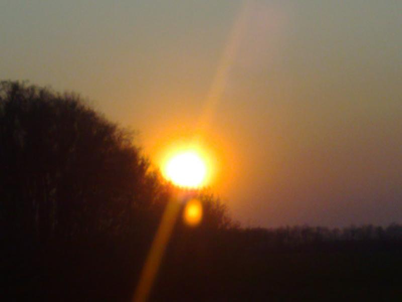 Губське мальовниче - Губське