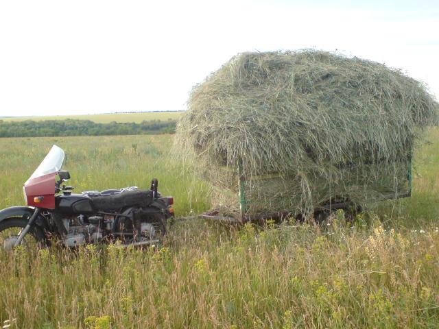 сінокос - Півні
