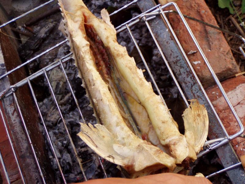 рыба в Райновке - Райнівка