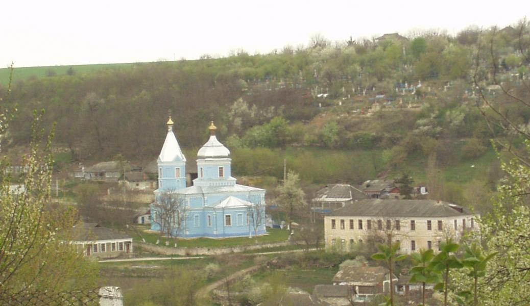 Родина - Шершенцы
