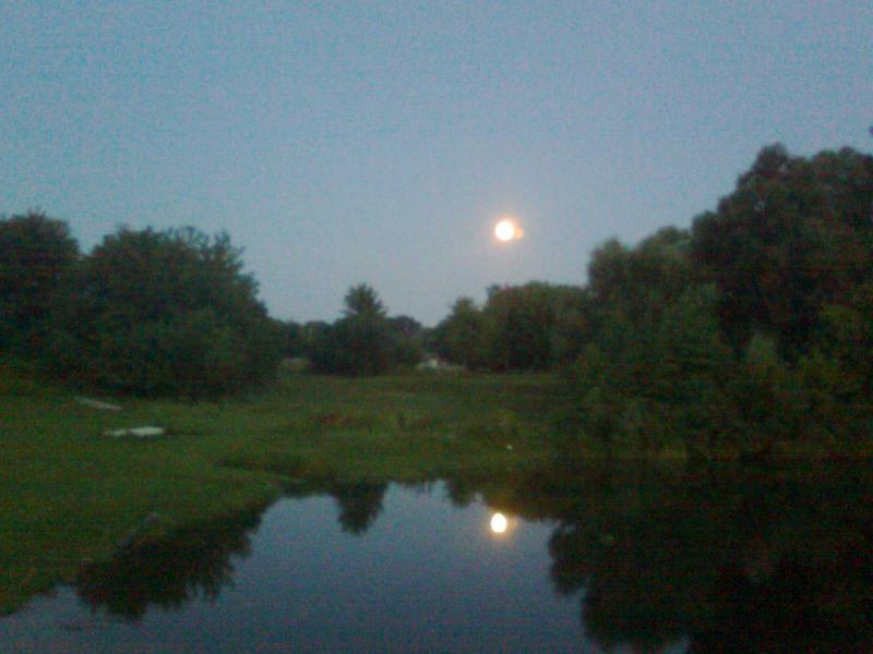 фото - Баничи