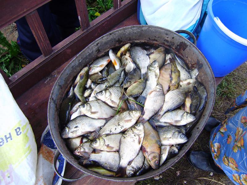 Рожковичи - Рожковичі