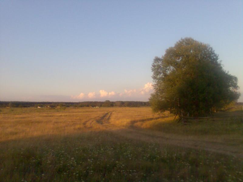 Тарасів - Тарасов