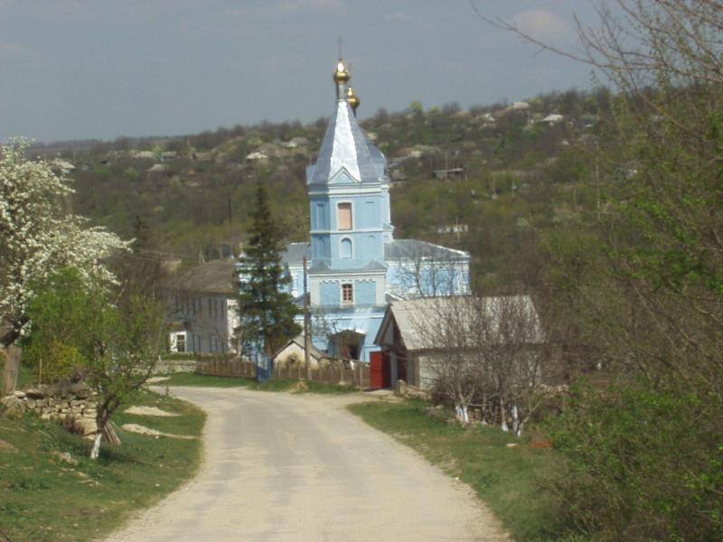 Родина - Шершенцы