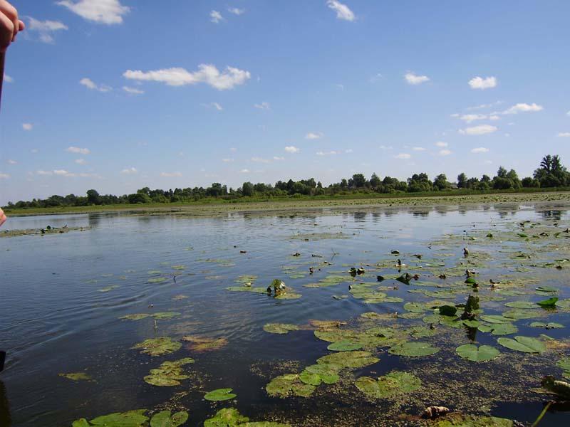 Рожковичи - Рожковичі