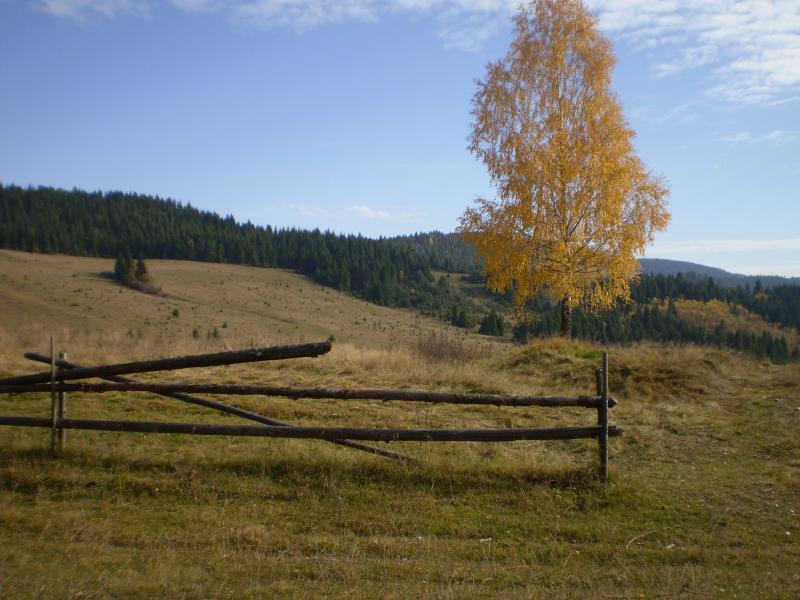Перлина Карпат - Лімна