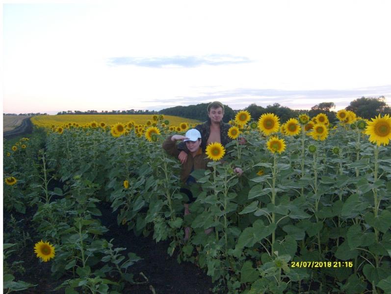 араповка - Араповка