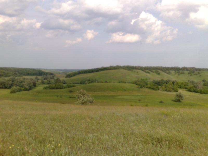 Губське мальовниче - Губское