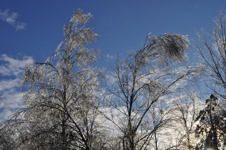перебродівська зимова казка.... - Переброди