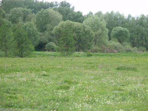 Краєвиди та життя Нової Басані - Нова Басань