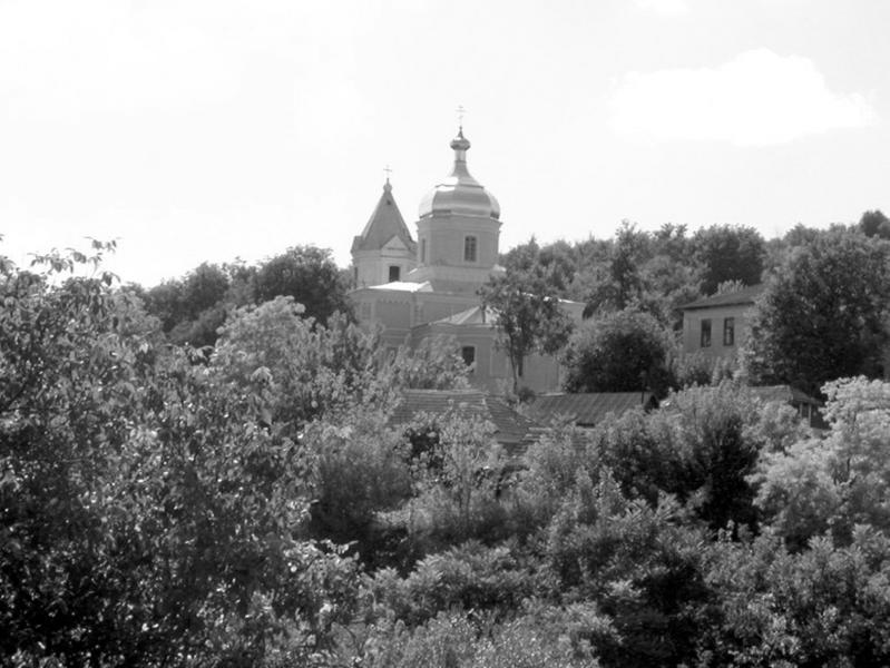 Родина - Шершенцы